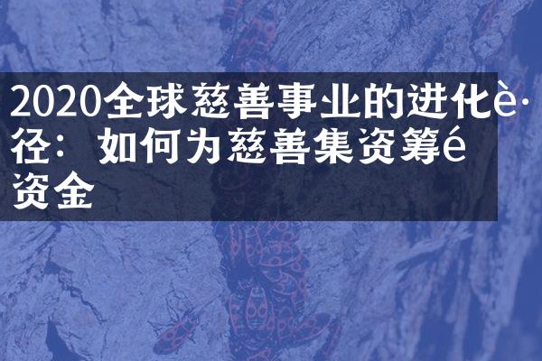 2020全球慈善事业的进化路径：如何为慈善集资筹集资金