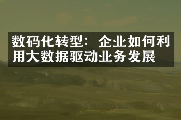 数码化转型：企业如何利用大数据驱动业务发展