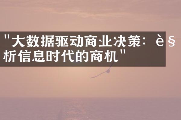 "大数据驱动商业决策：解析信息时代的商机"