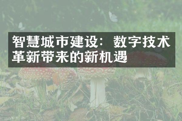 智慧城市建设：数字技术革新带来的新机遇