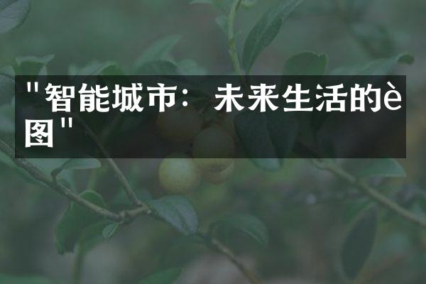 "智能城市：未来生活的蓝图"