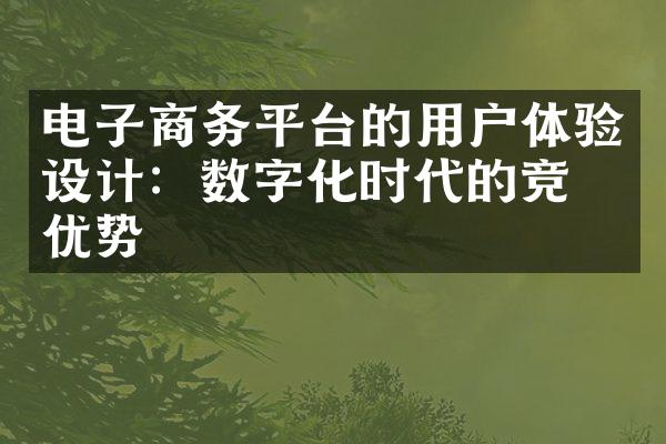 电子商务平台的用户体验设计：数字化时代的竞争优势