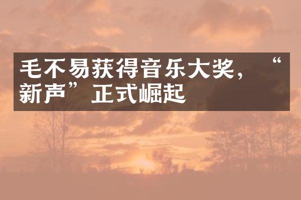 毛不易获得音乐大奖，“新声”正式崛起