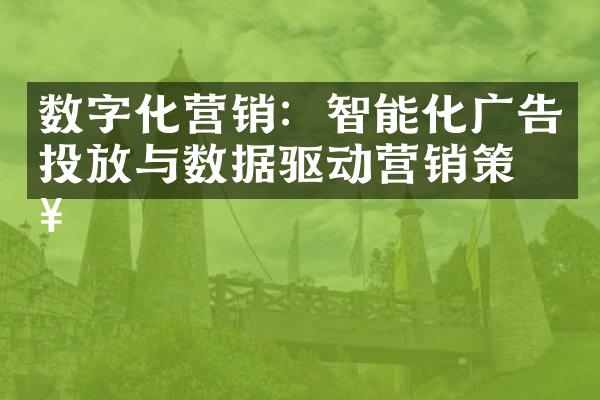 数字化营销：智能化广告投放与数据驱动营销策略