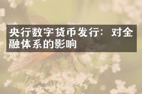 央行数字货币发行：对金融体系的影响