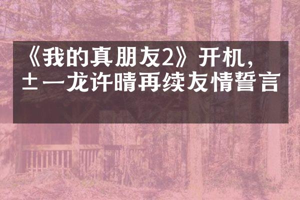 《我的真朋友2》开机，朱一龙许晴再续友情誓言！