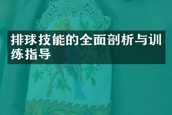 排球技能的全面剖析与训练指导