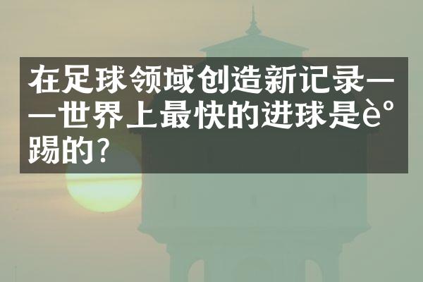 在足球领域创造新记录——世界上最快的进球是谁踢的？