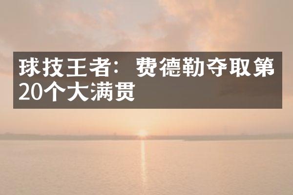 球技王者：费德勒夺取第20个大满贯