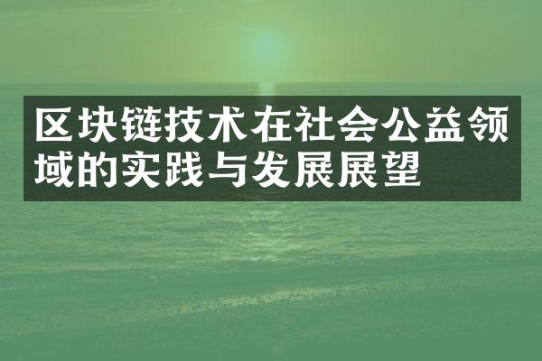 区块链技术在社会公益领域的实践与发展展望