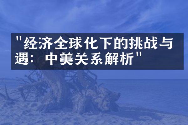 "经济全球化下的挑战与机遇：中美关系解析"