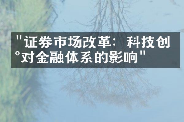 "证券市场改革：科技创新对金融体系的影响"