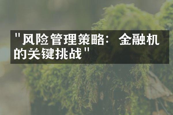 "风险管理策略：金融机构的关键挑战"