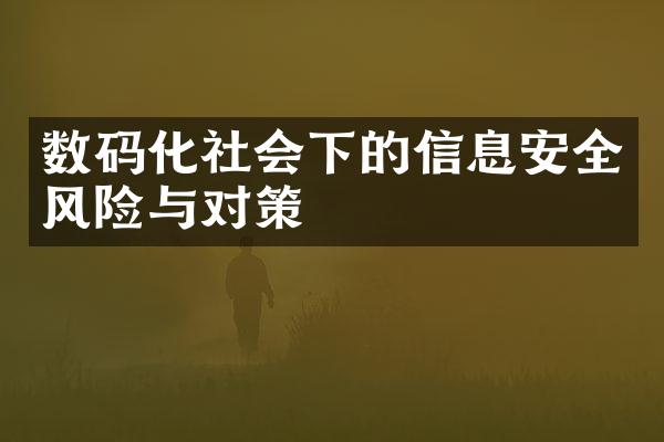 数码化社会下的信息安全风险与对策