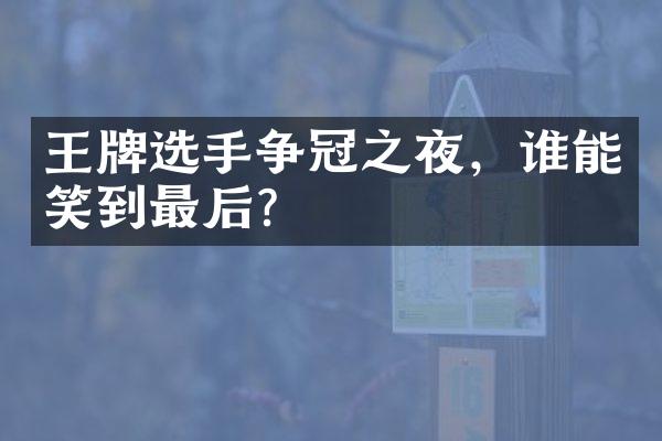 王牌选手争冠之夜，谁能笑到最后？