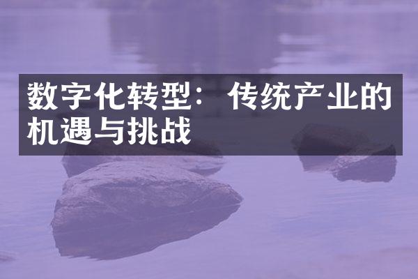 数字化转型：传统产业的机遇与挑战