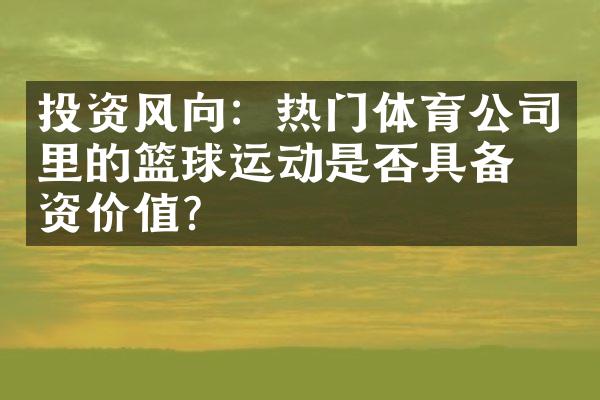 投资风向：热门体育公司里的篮球运动是否具备投资价值？