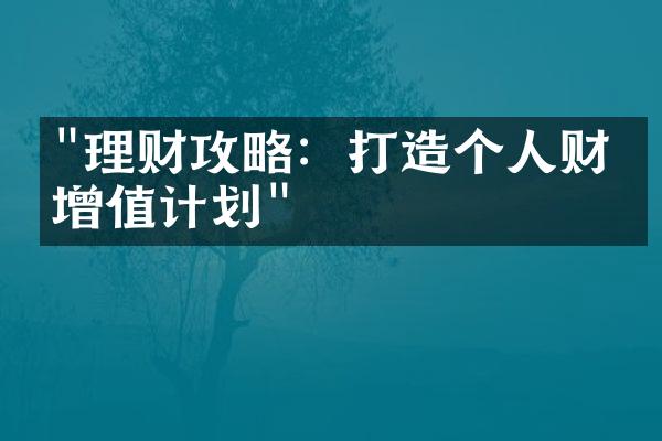 "理财攻略：打造个人财富增值计划"