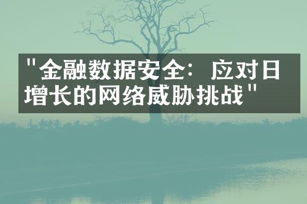 "金融数据安全：应对日益增长的网络威胁挑战"