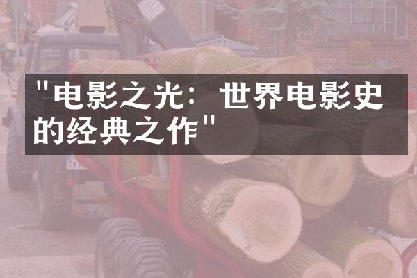 "电影之光：世界电影史上的经典之作"