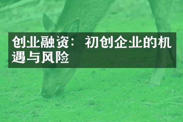 创业融资：初创企业的机遇与风险