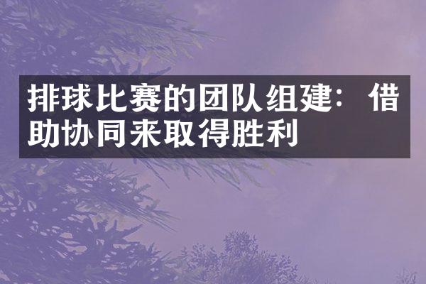 排球比赛的团队组建：借助协同来取得胜利