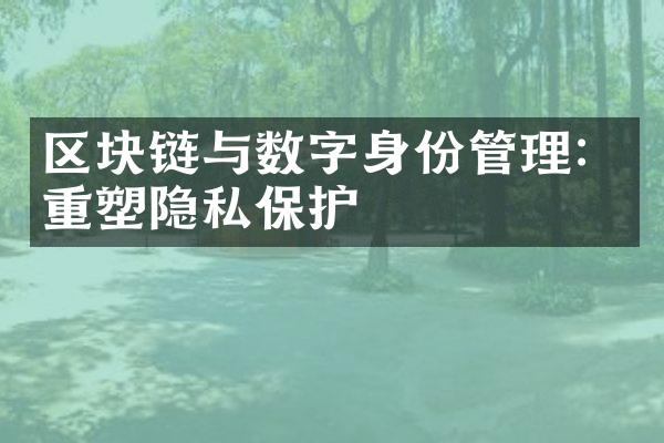 区块链与数字身份管理：重塑隐私保护