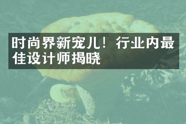 时尚界新宠儿！行业内最佳设计师揭晓