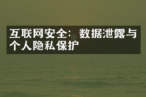 互联网安全：数据泄露与个人隐私保护