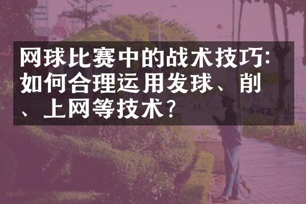 网球比赛中的战术技巧：如何合理运用发球、削球、上网等技术？