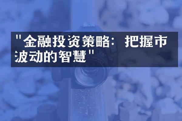 "金融投资策略：把握市场波动的智慧"