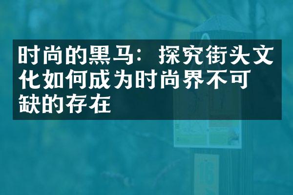 时尚的黑马：探究街头文化如何成为时尚界不可或缺的存在