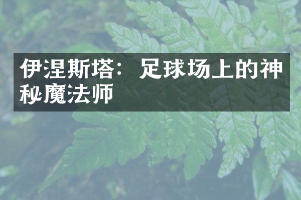 伊涅斯塔：足球场上的神秘魔法师