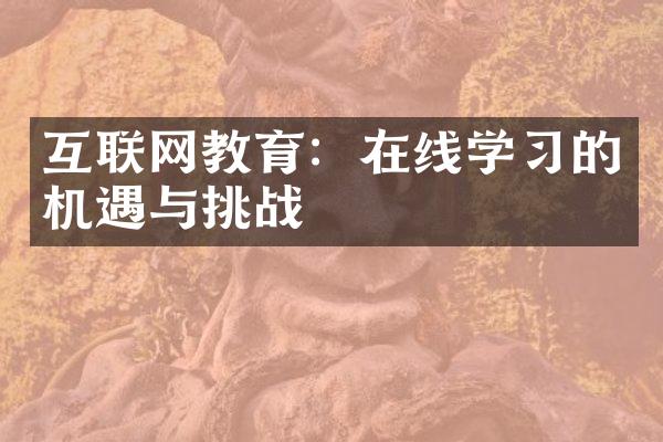 互联网教育：在线学的机遇与挑战