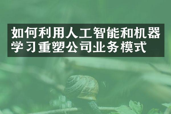 如何利用人工智能和机器学习重塑公司业务模式？