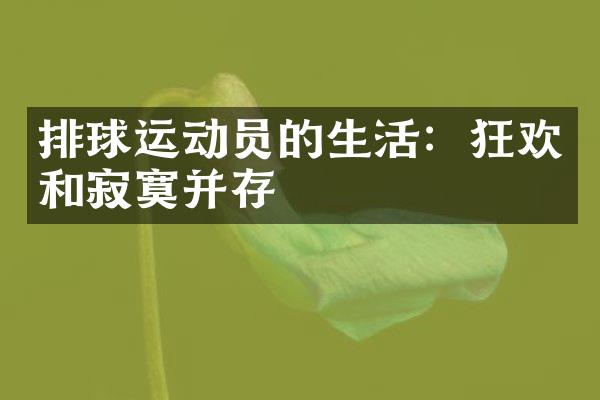 排球运动员的生活：狂欢和寂寞并存