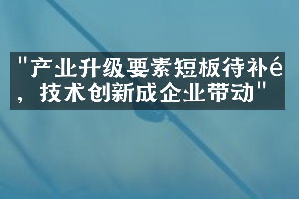 "产业升级要素短板待补齐，技术创新成企业带动"