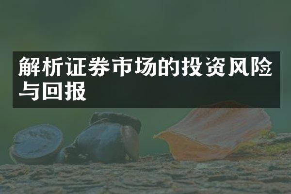 解析证券市场的投资风险与回报