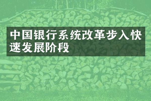 中国银行系统改革步入快速发展阶段