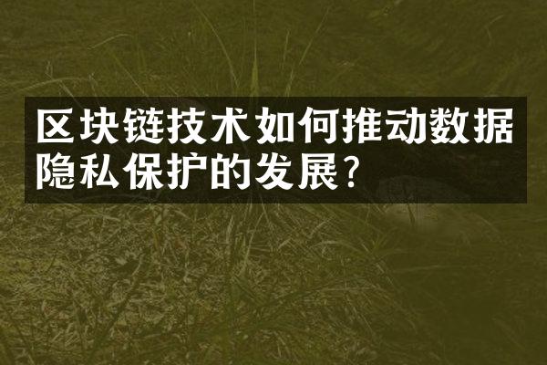 区块链技术如何推动数据隐私保护的发展？