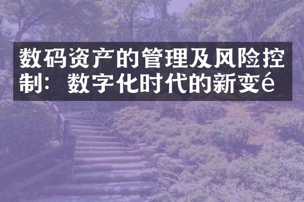 数码资产的管理及风险控制：数字化时代的新变革