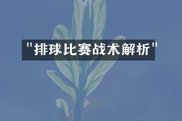 "排球比赛战术解析"