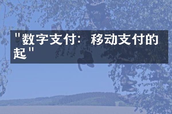 "数字支付：移动支付的兴起"