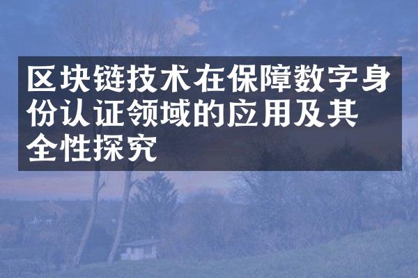 区块链技术在保障数字身份认证领域的应用及其安全性探究