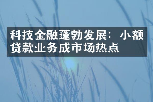 科技金融蓬勃发展：小额贷款业务成市场热点