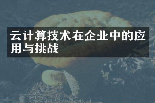 云计算技术在企业中的应用与挑战