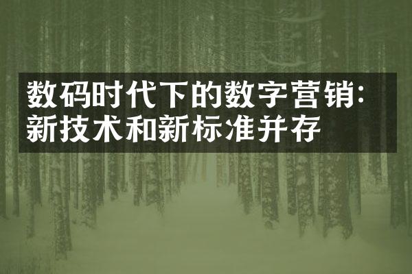 数码时代下的数字营销：新技术和新标准并存