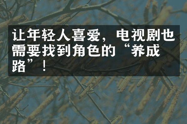 让年轻人喜爱，电视剧也需要找到角色的“养成之路”！