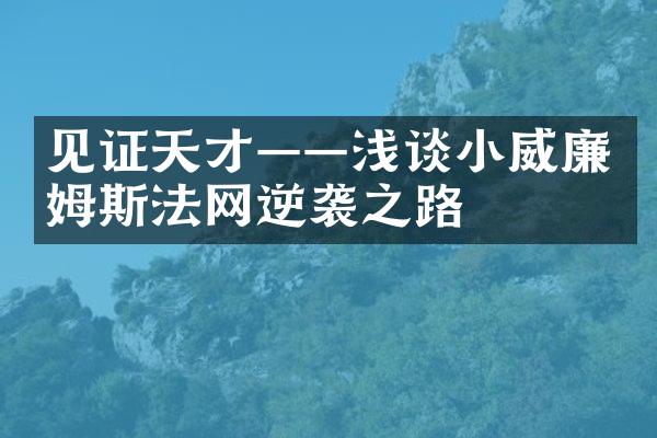 见证天才——浅谈小威廉姆斯法网逆袭之路