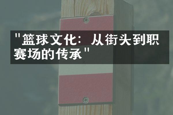 "篮球文化：从街头到职业赛场的传承"